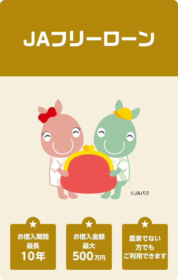 JAフリーローン